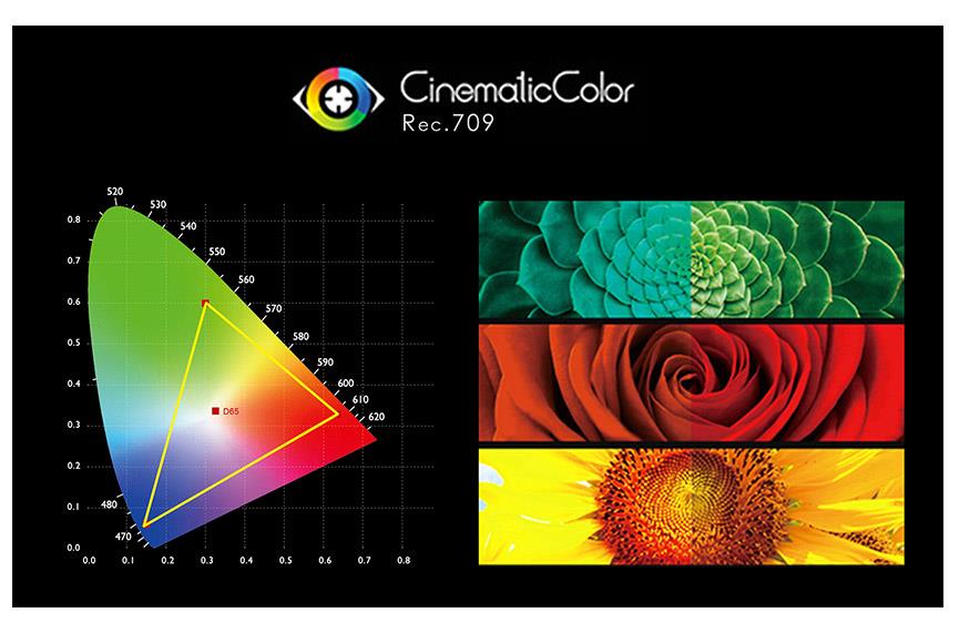 多彩 校准 监视器