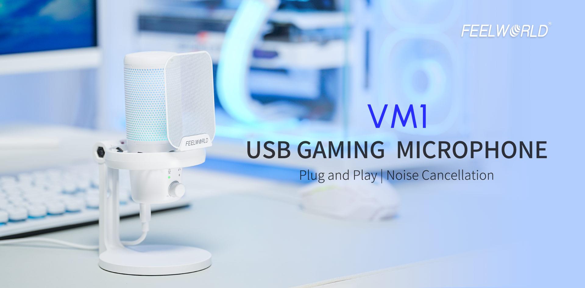 Esports streaming mic