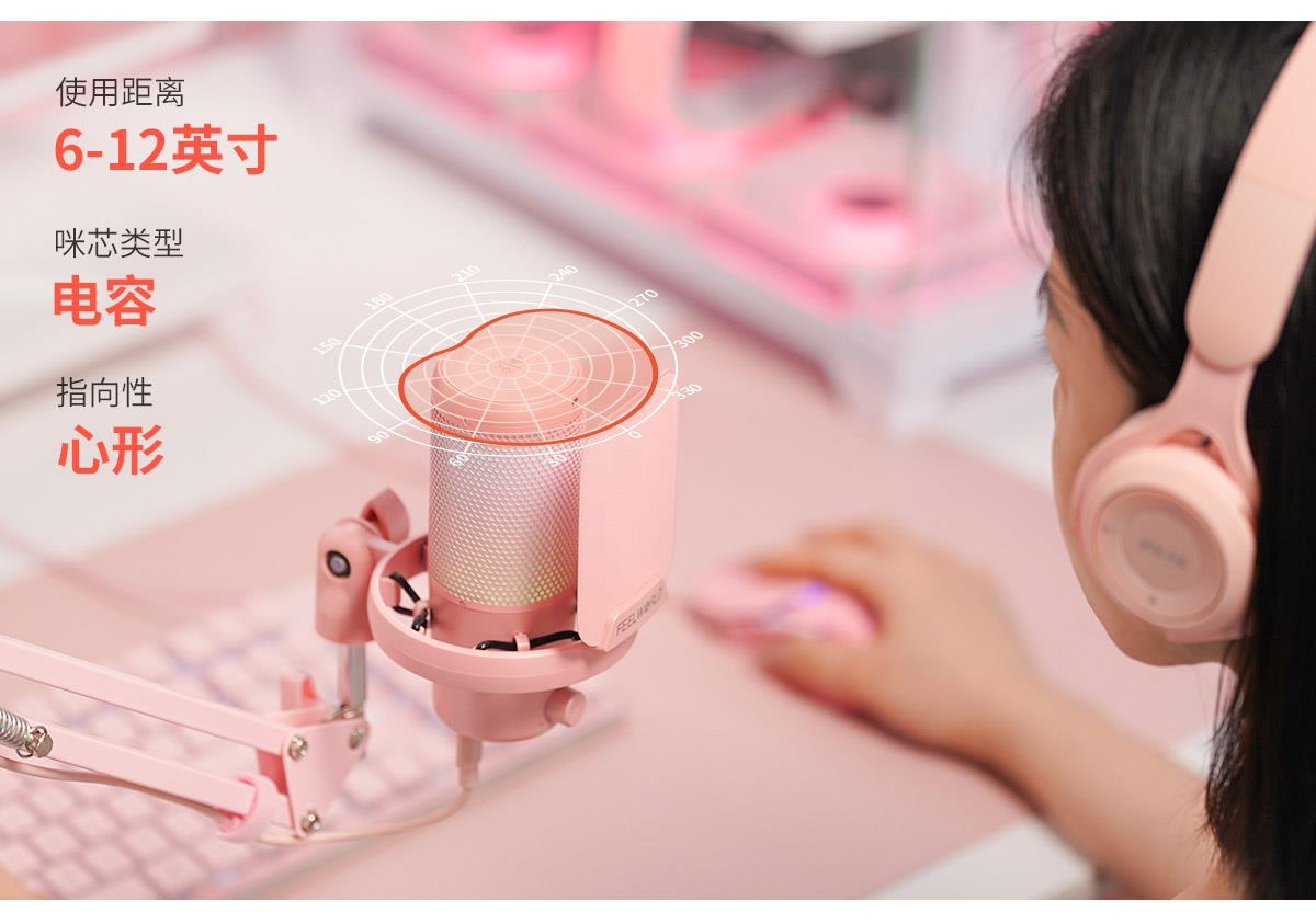 心形指向麦克风