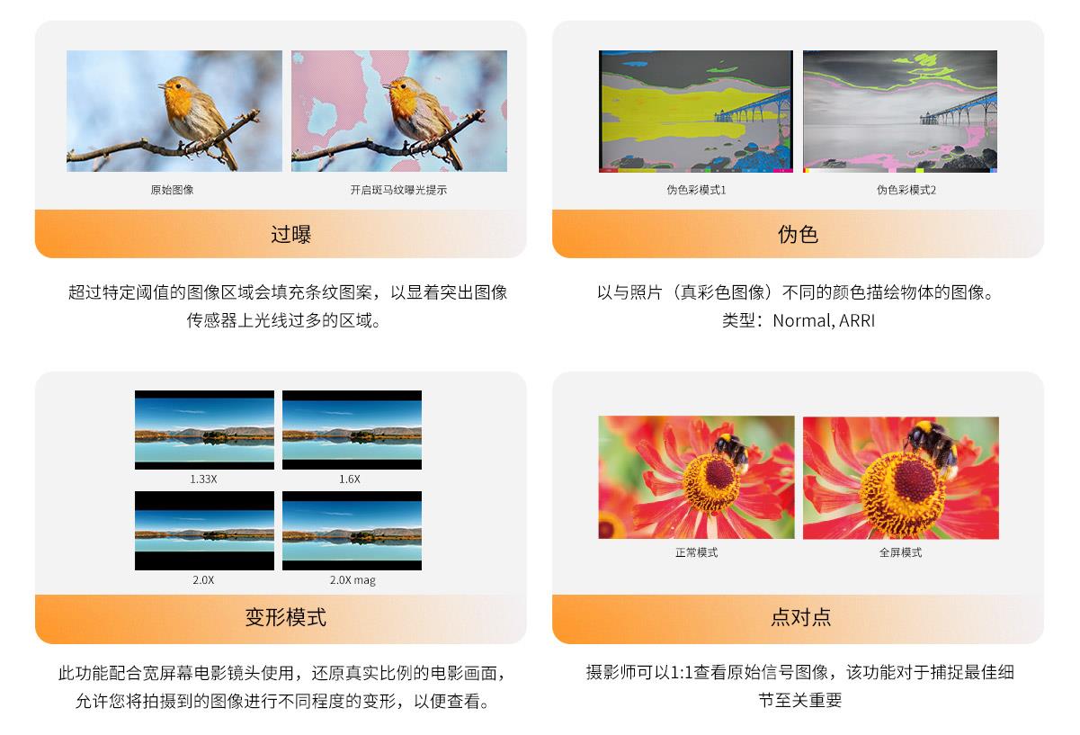 单色显示监视器