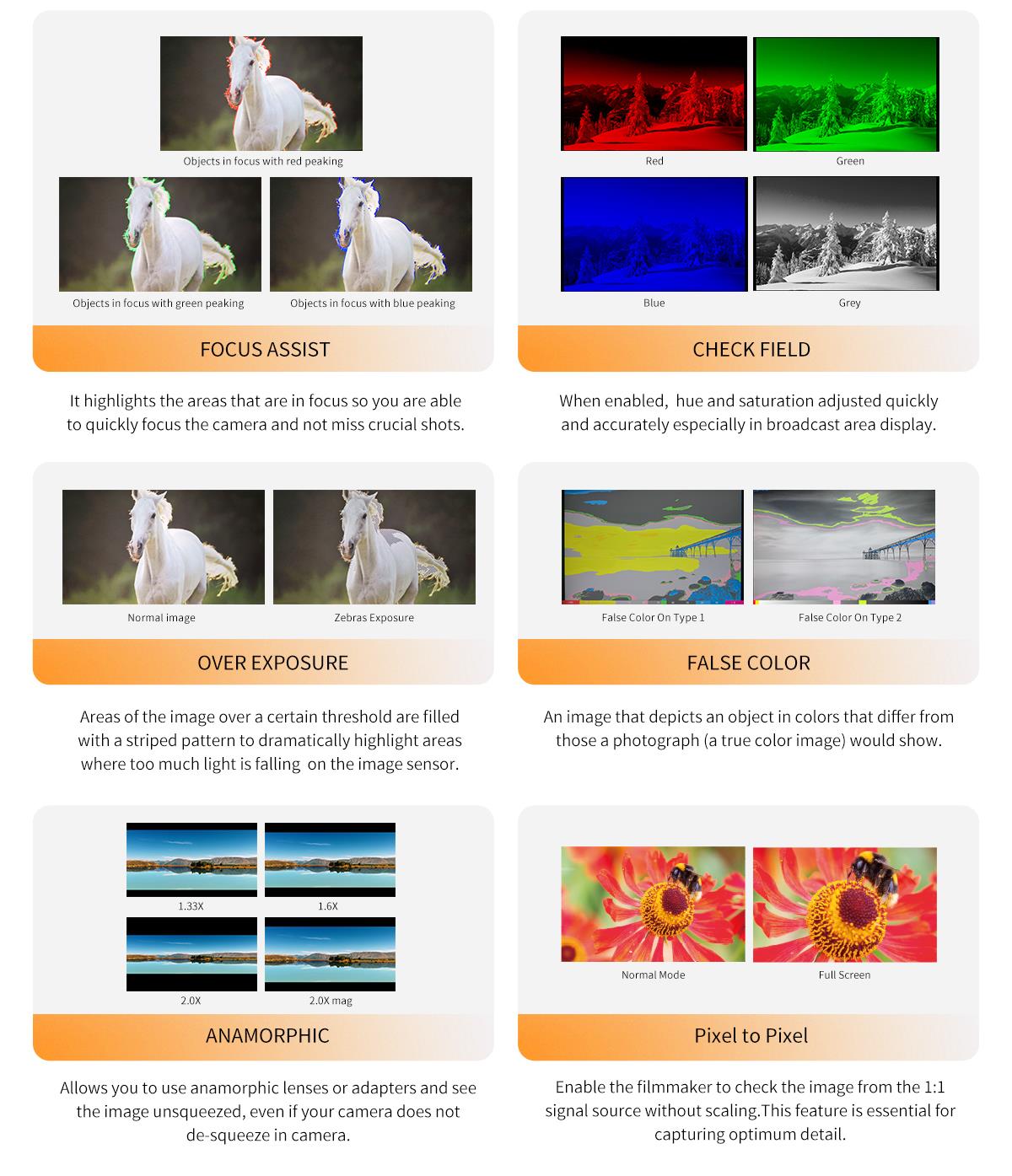 foucus flase monitor