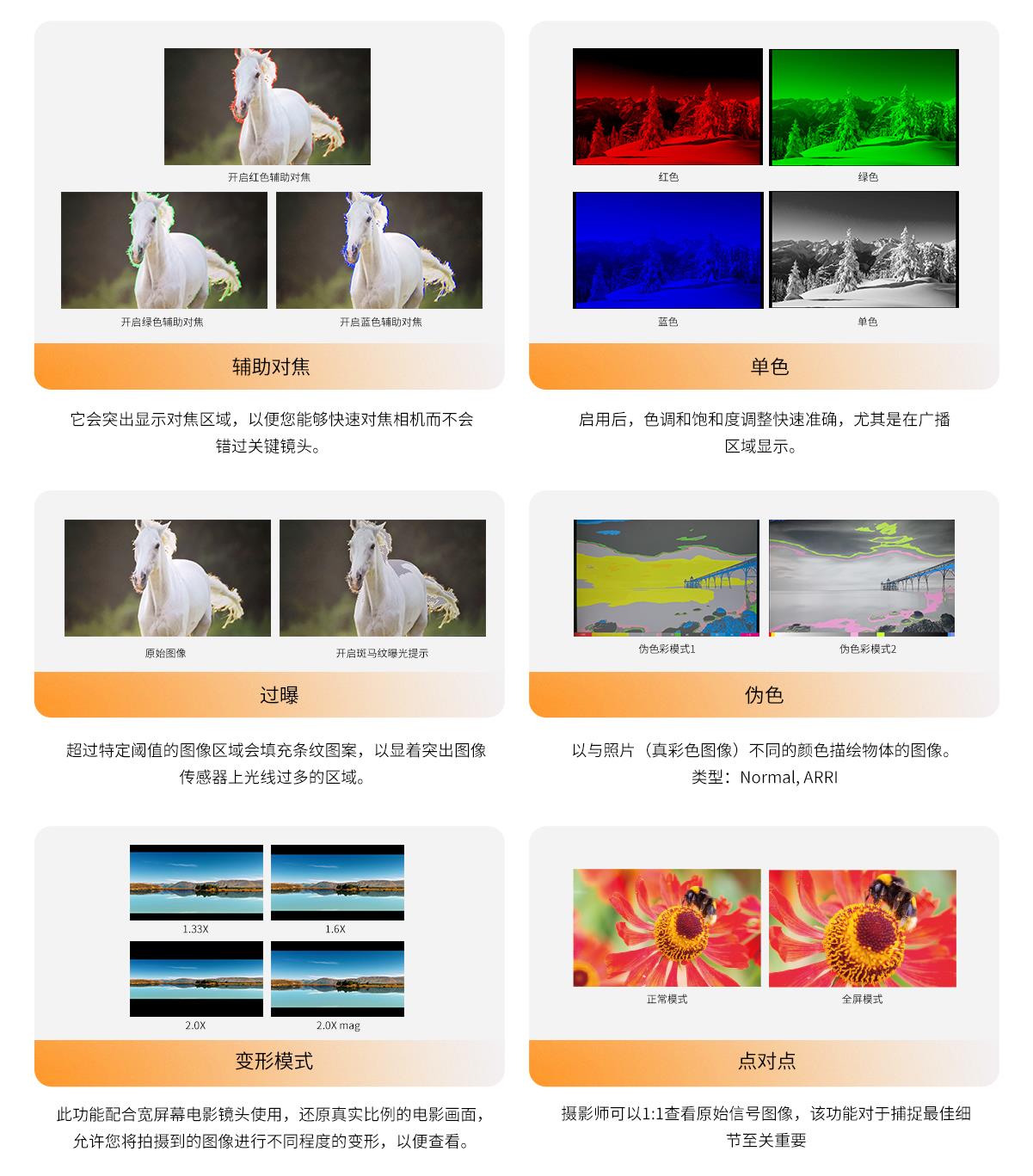 辅助对焦监视器