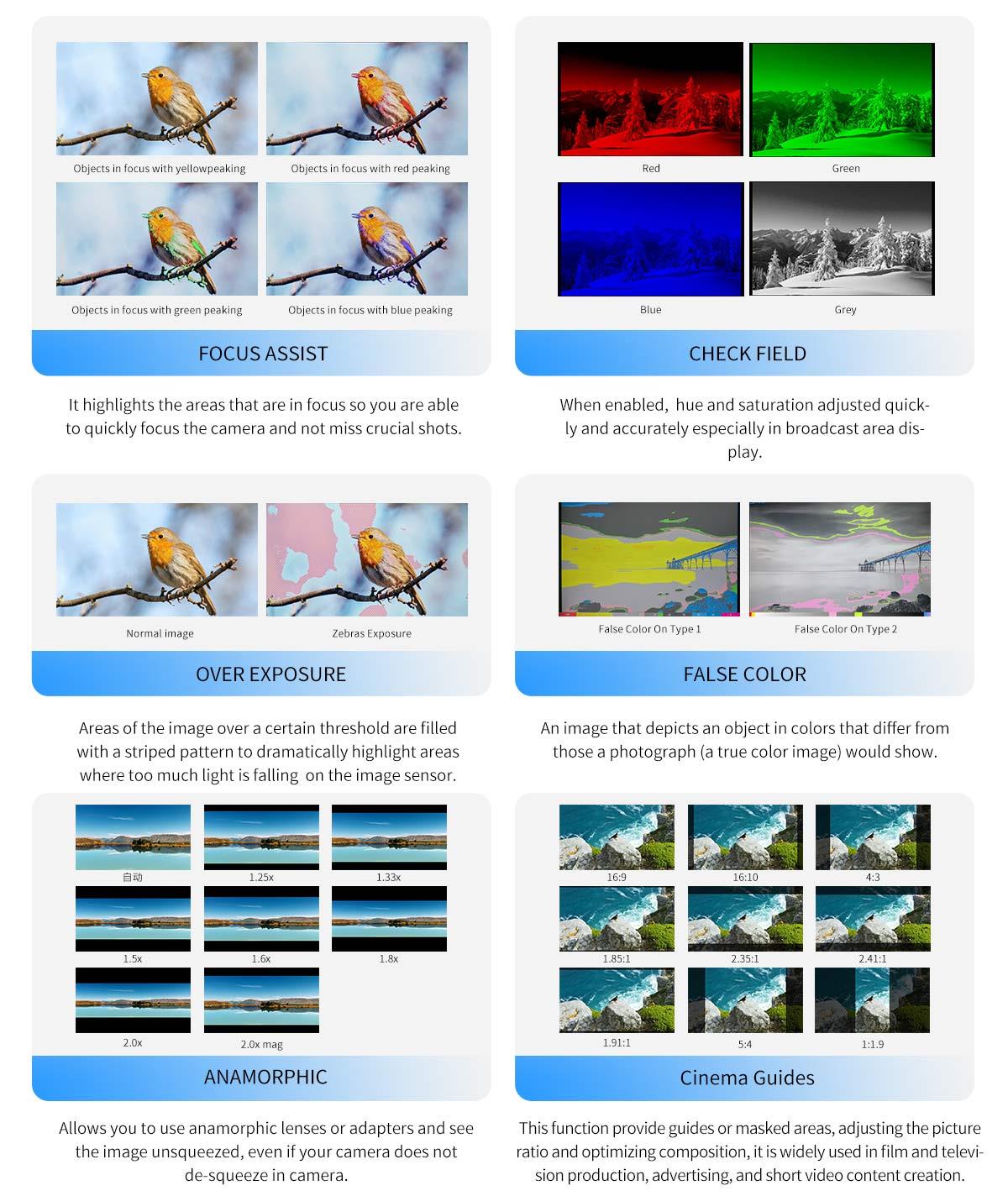 multiple function monitor