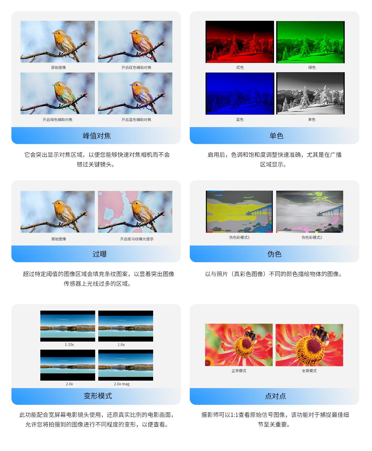 辅助对焦监视器