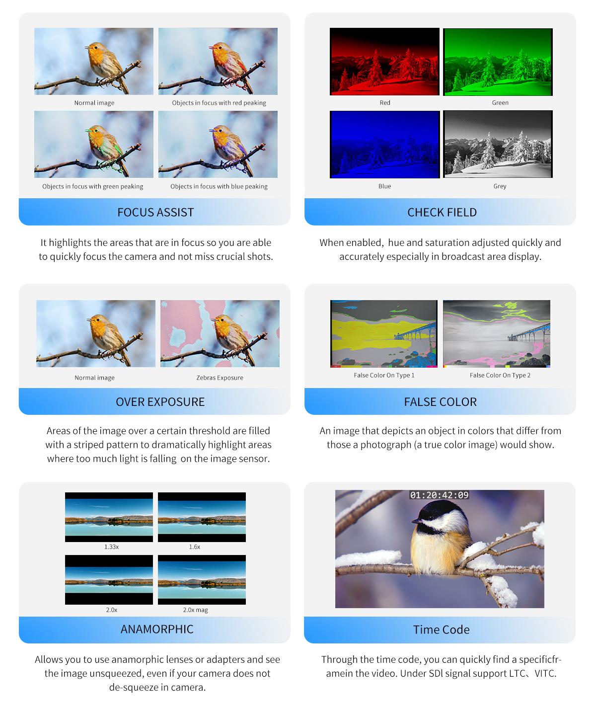 focus assist monitor