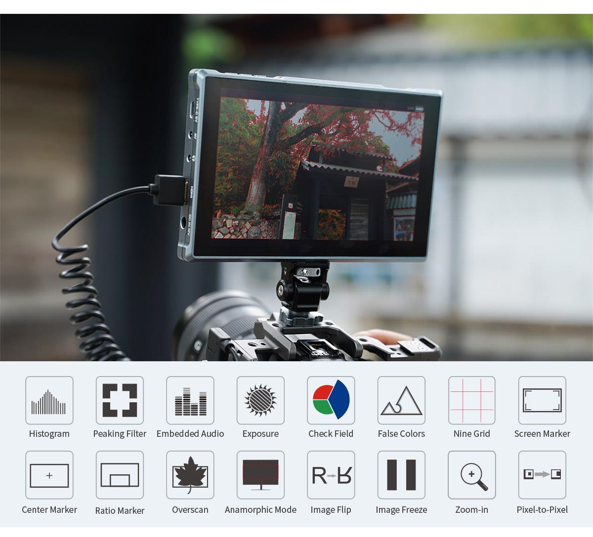 rich function monitor