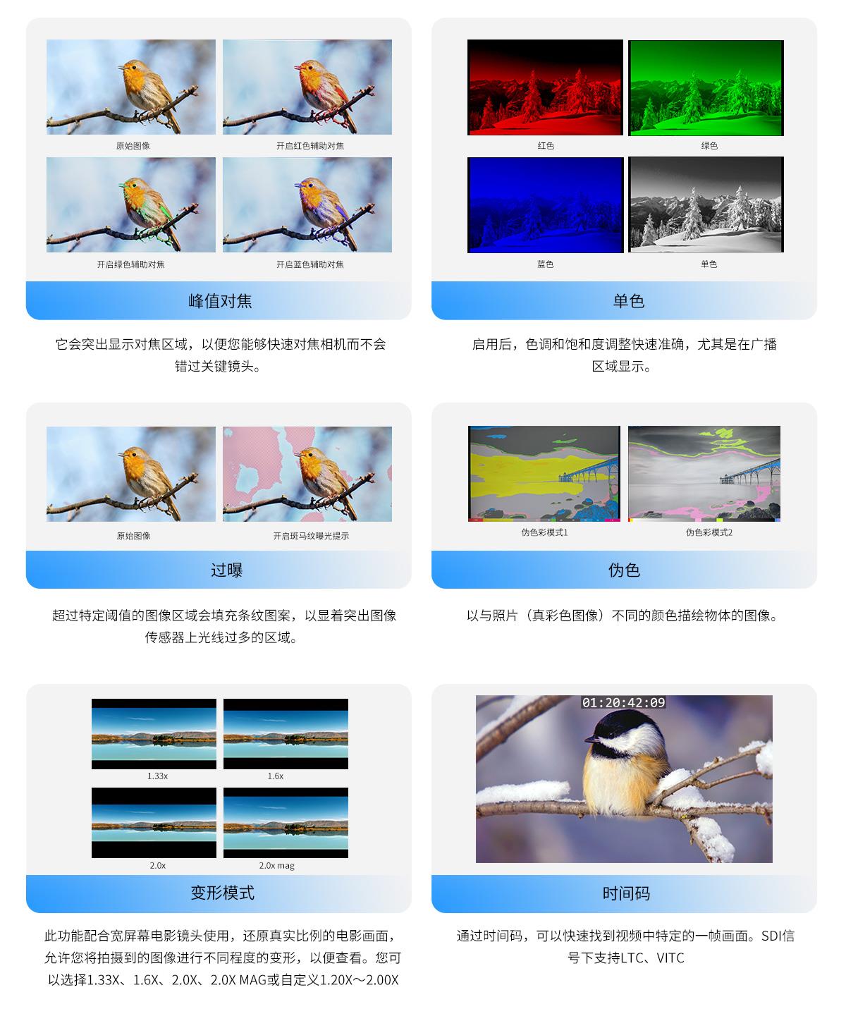 辅助对焦监视器